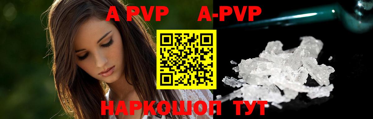 Alfa_PVP СК Коряжма