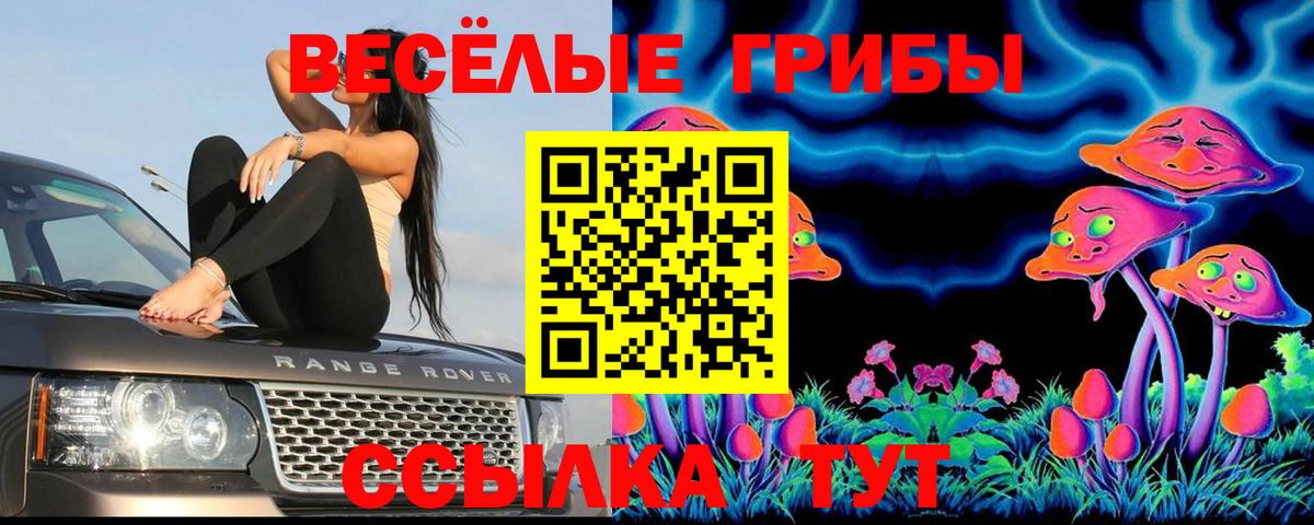 Коряжма  Галлюциногенные грибы Psilocybine cubensis  Вход с VPN 